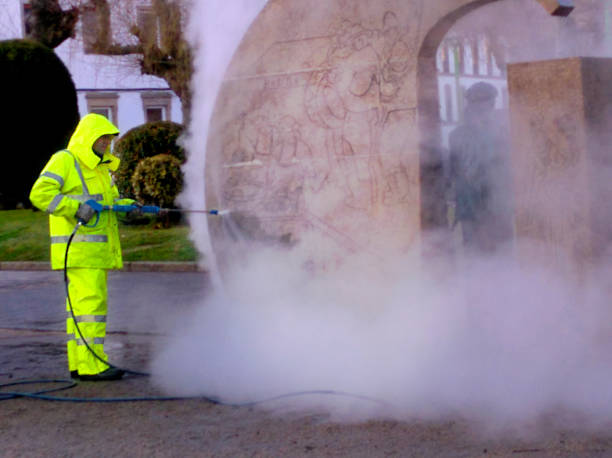 Best Pressure Washing Near Me  in Elizabeth Lake, CA