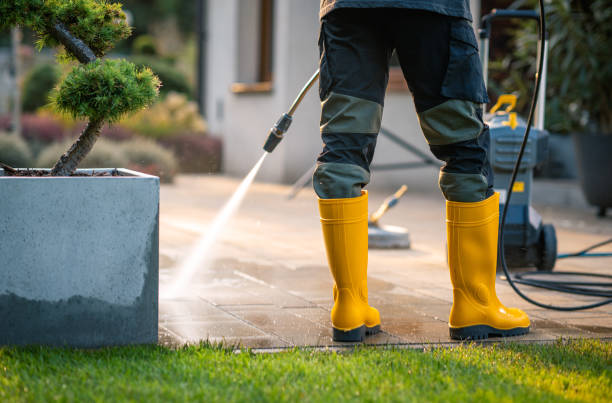 Best Affordable Pressure Washing  in Elizabeth Lake, CA